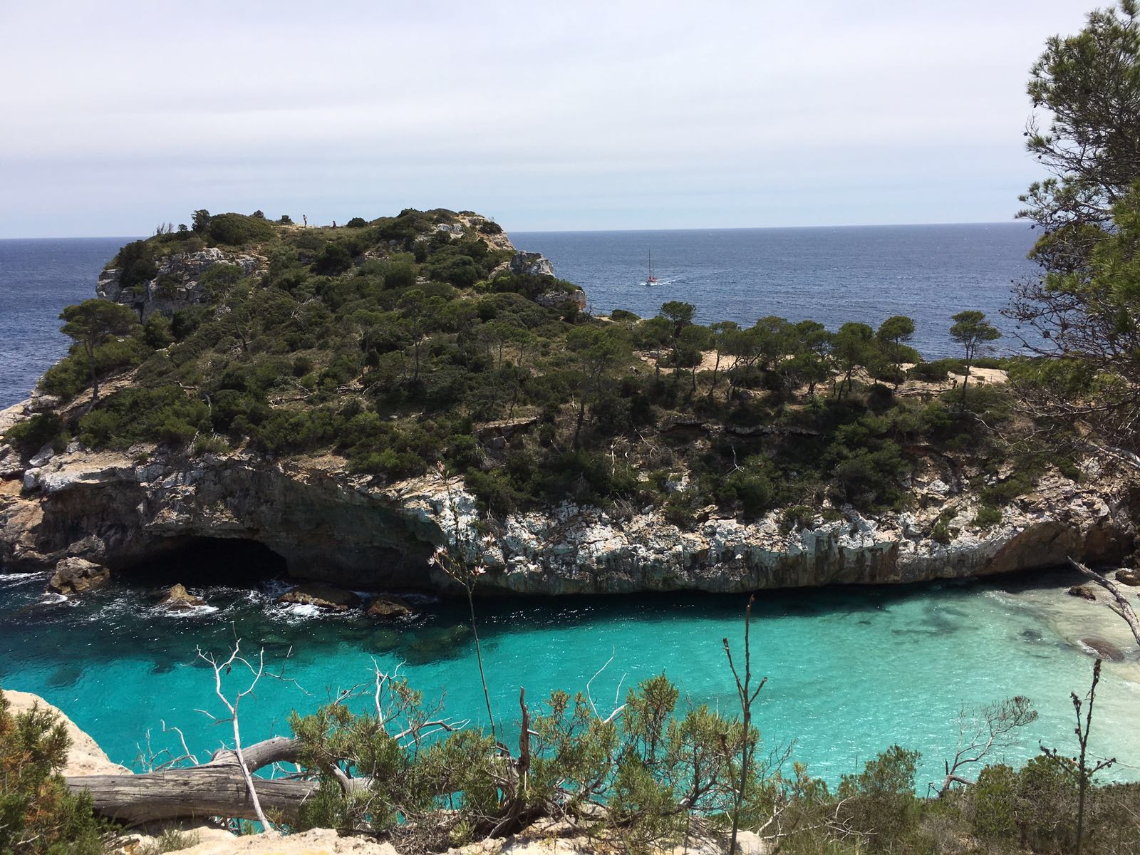 Cindy / Caló des Moro