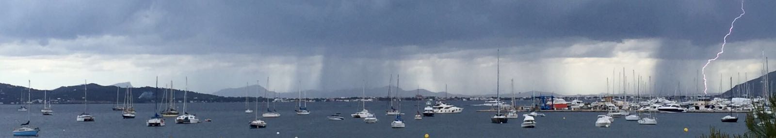 Tom / Port de Pollença