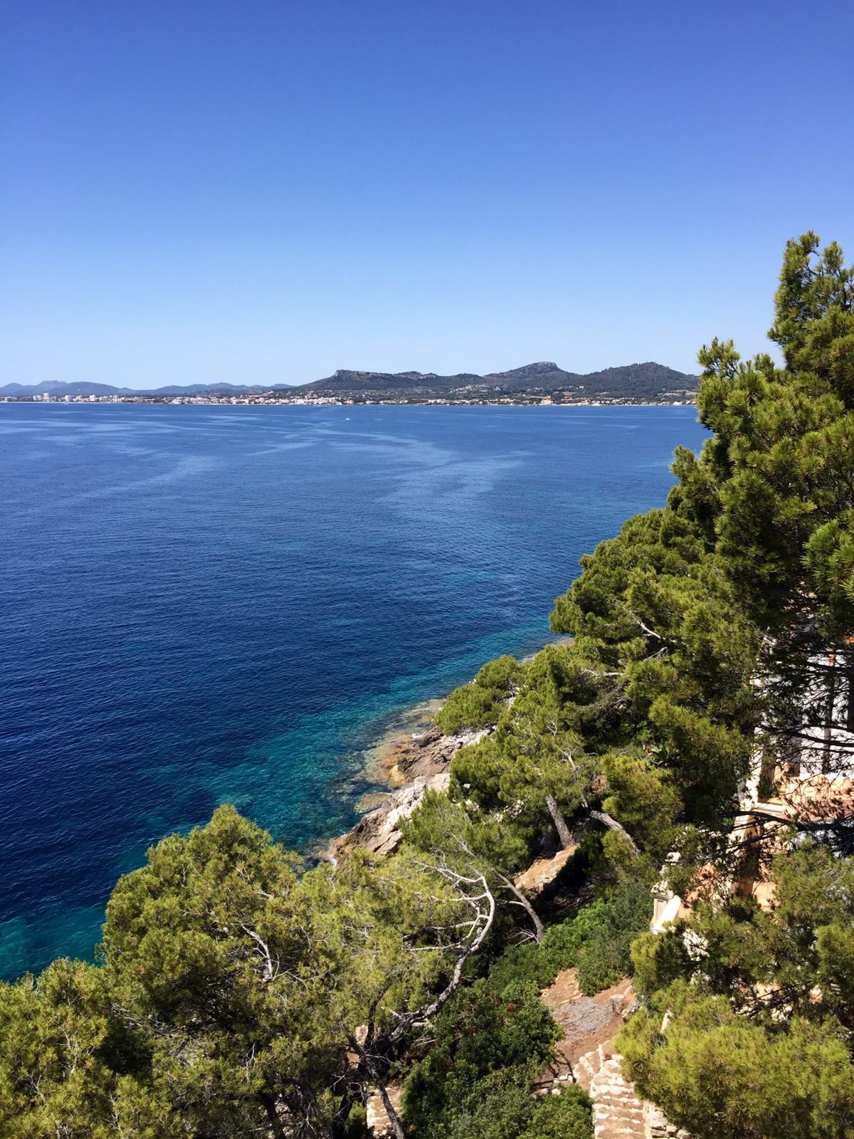 Ulrike Möltgen-Esders