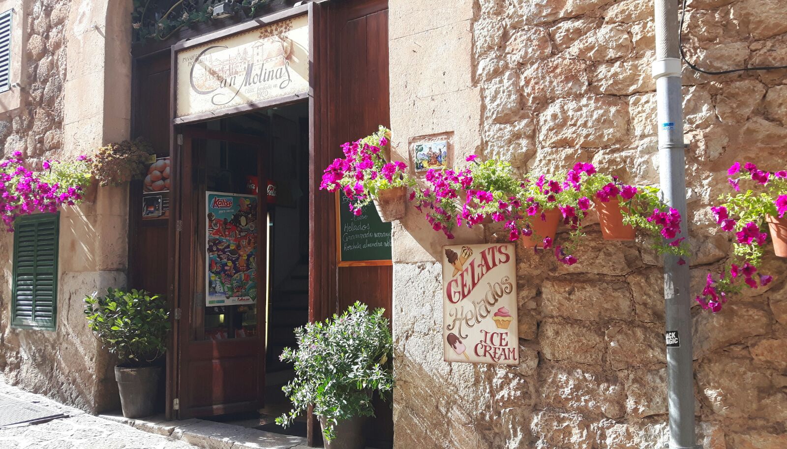 Winnie, Clemens, Jannik und Mia