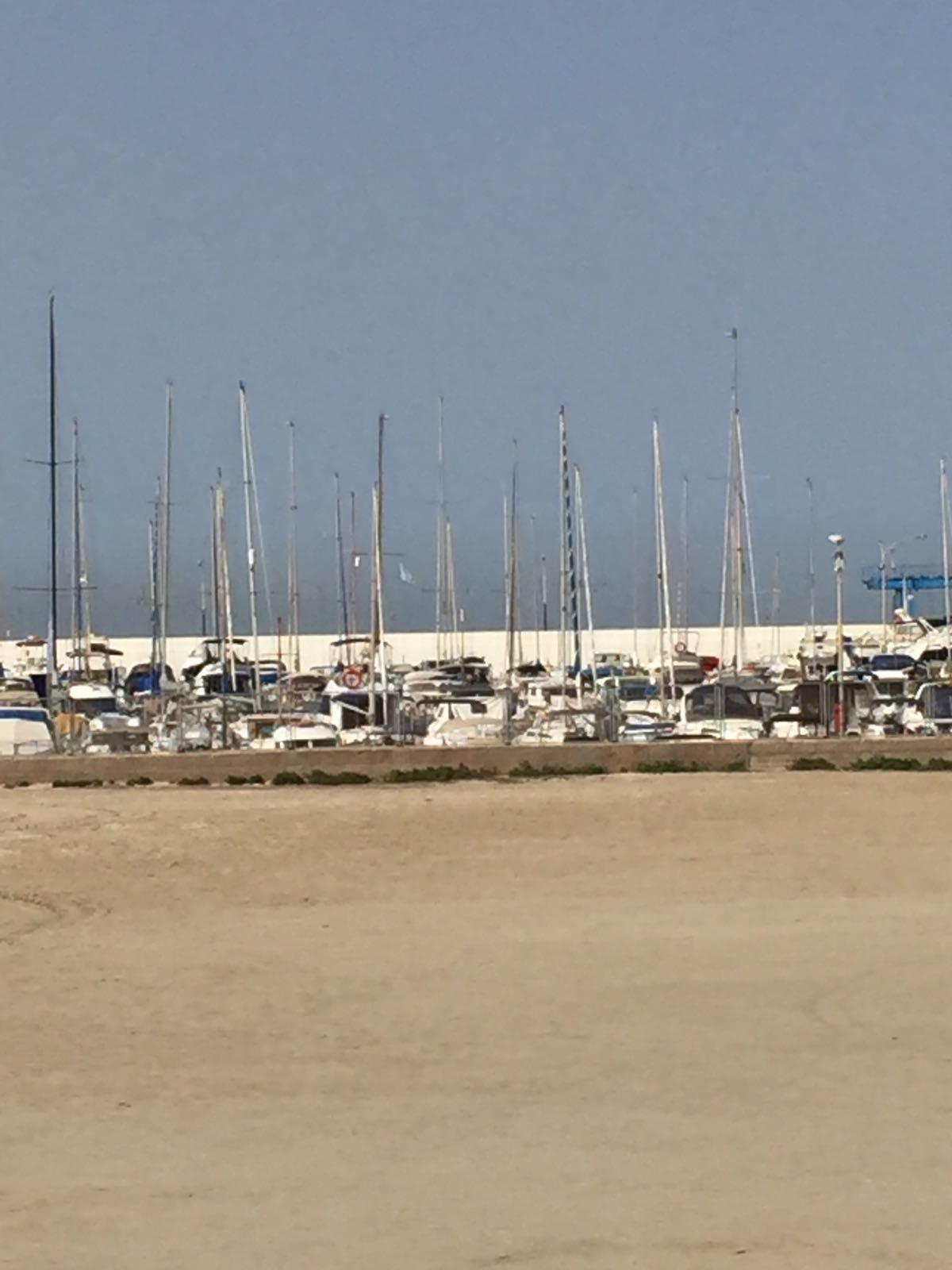 Playa de Palma, gesendet von Ursula Pérez