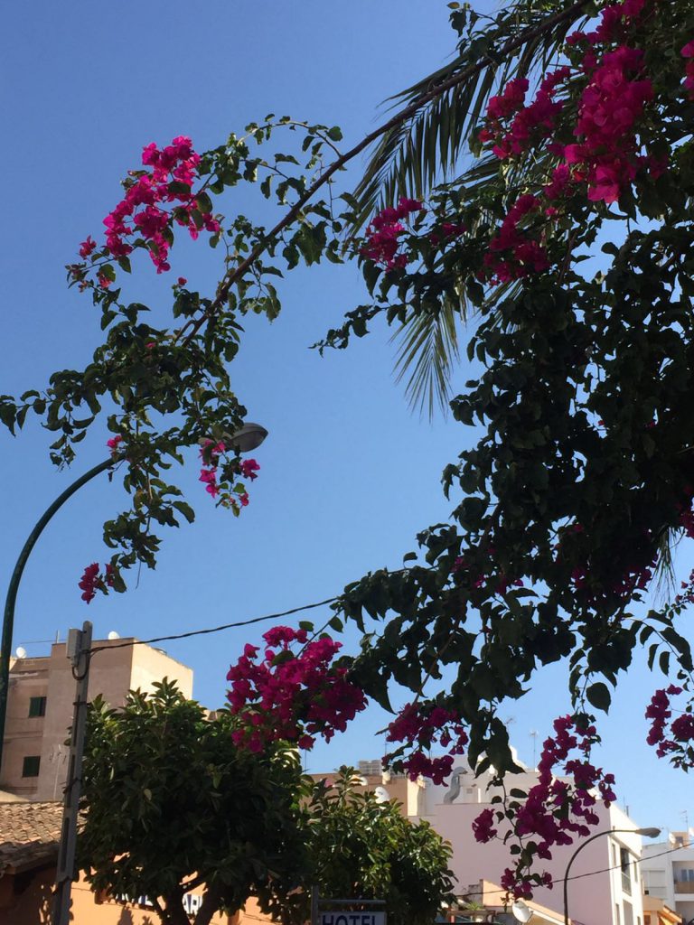 Can Pastilla, gesendet von Ursula Pérez