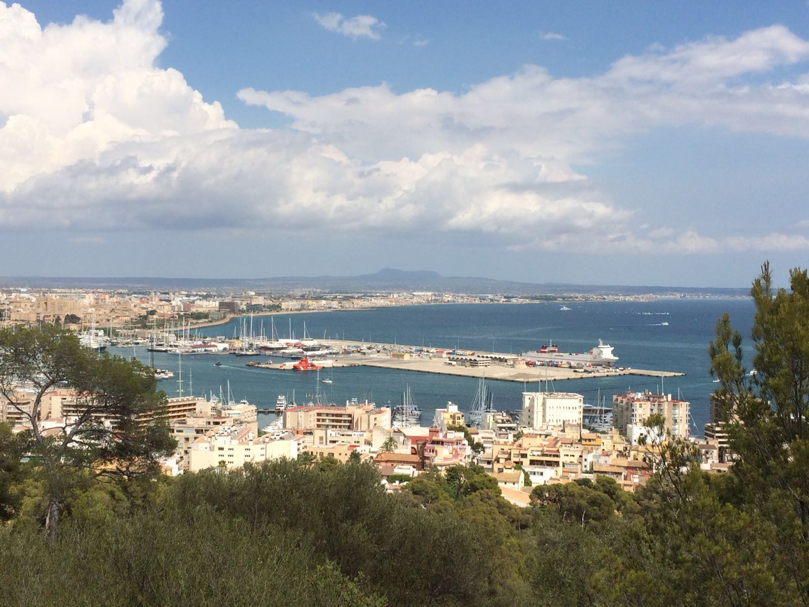 Palma, gesendet von Andreas Kühnel