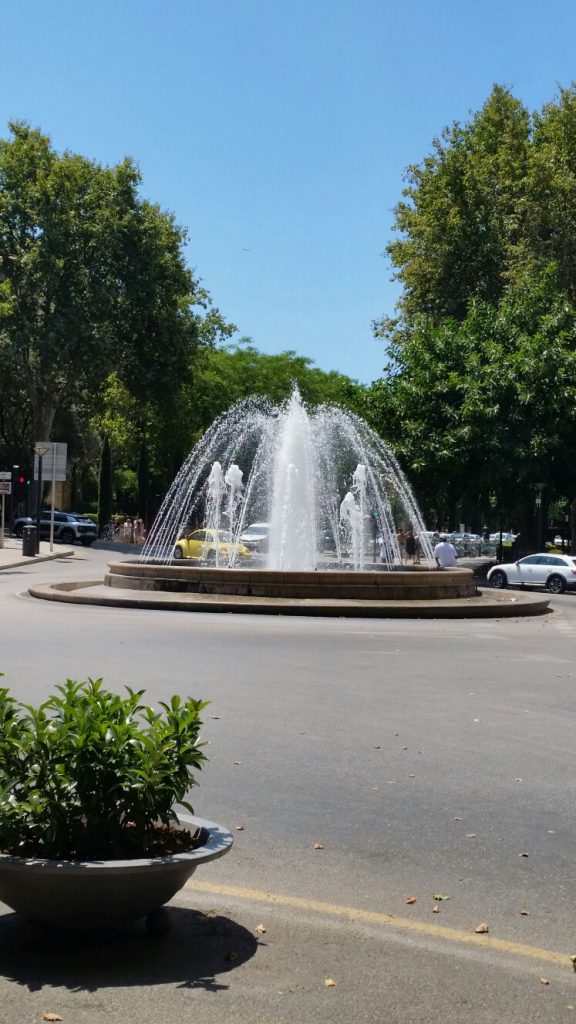 Palma, gesendet von Sarah Honsel