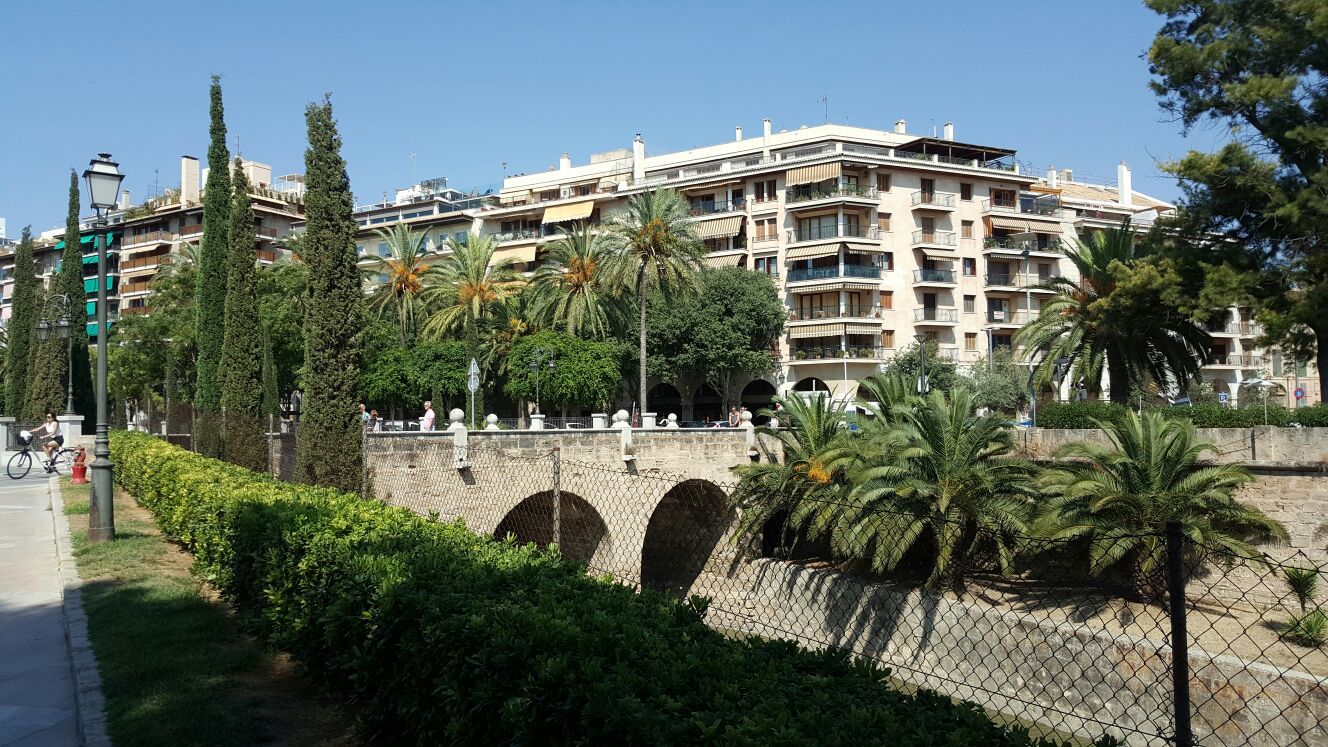 vPalma, gesendet von Michael