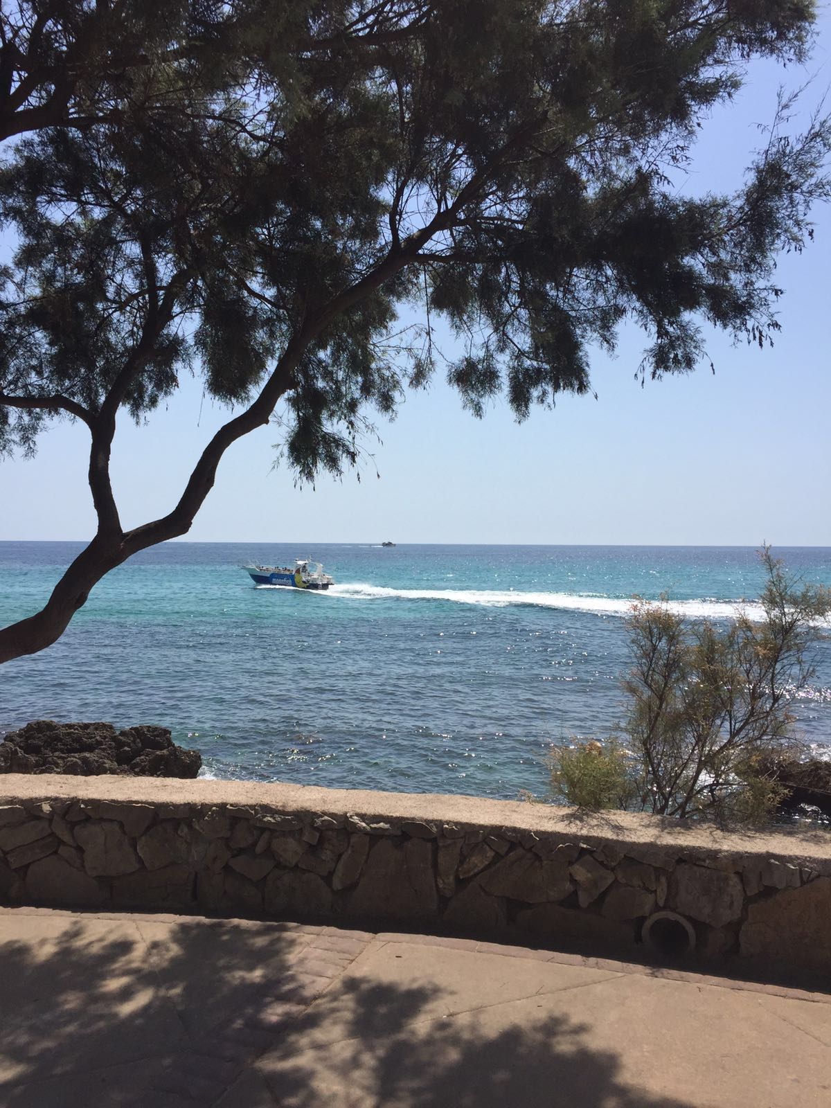 Cala Millor, gesendet von Yvonne