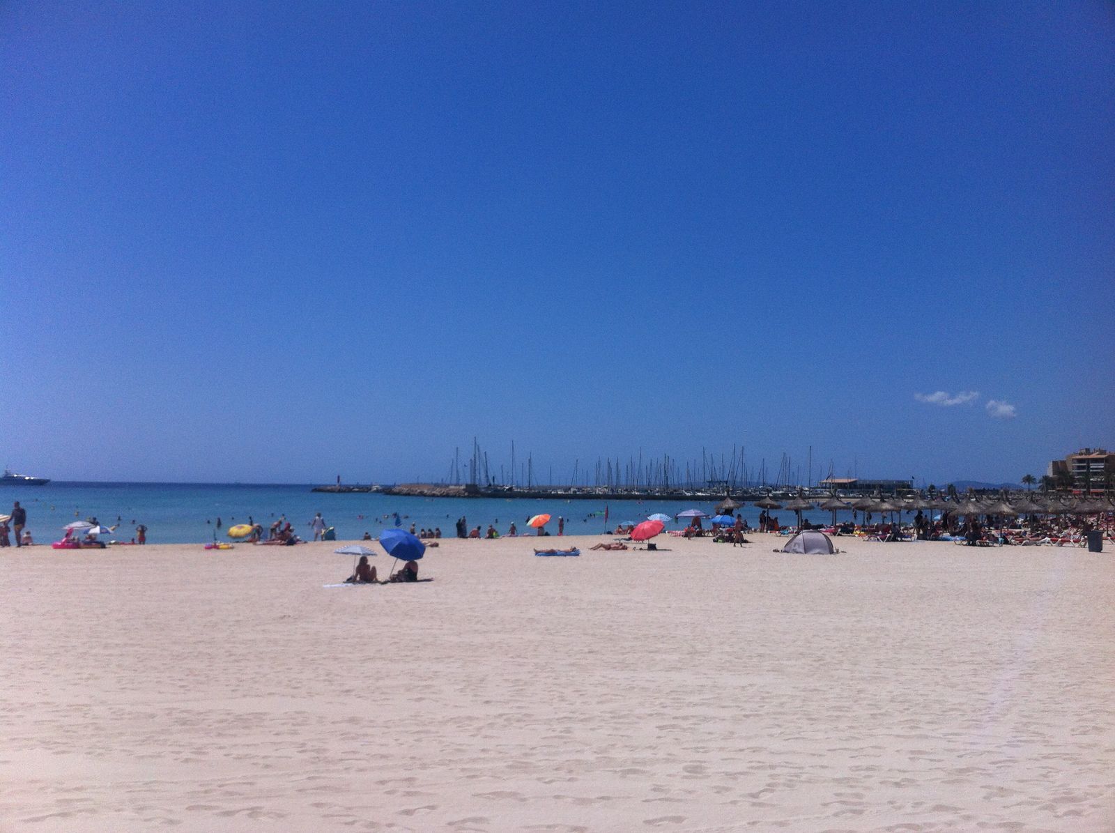 Can Pastilla, gesendet von Steve