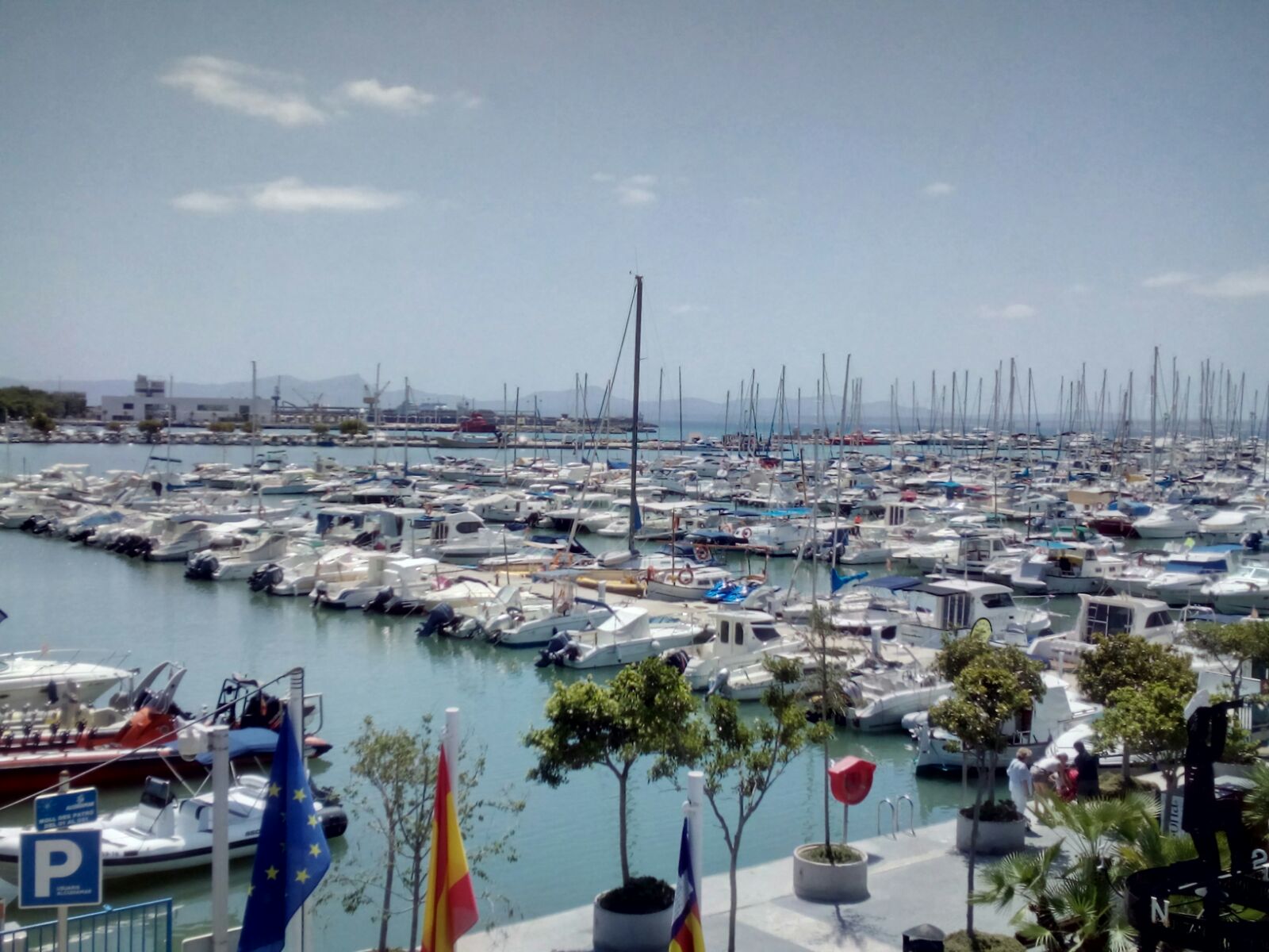 Port d'Alcúdia, gesendet von Mary Simpson-Wittke