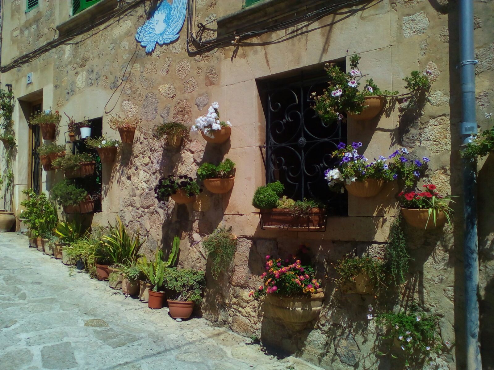 vValldemossa, gesendet von Mary Simpson-Wittke