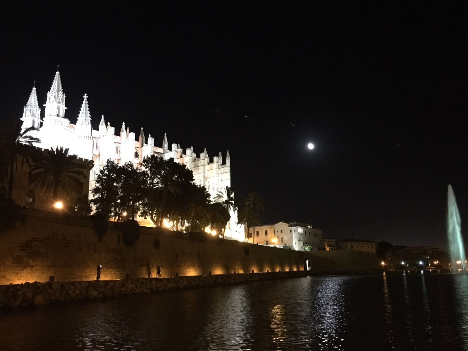 Kathedrale La Seu, gesendet von Vanessa F.