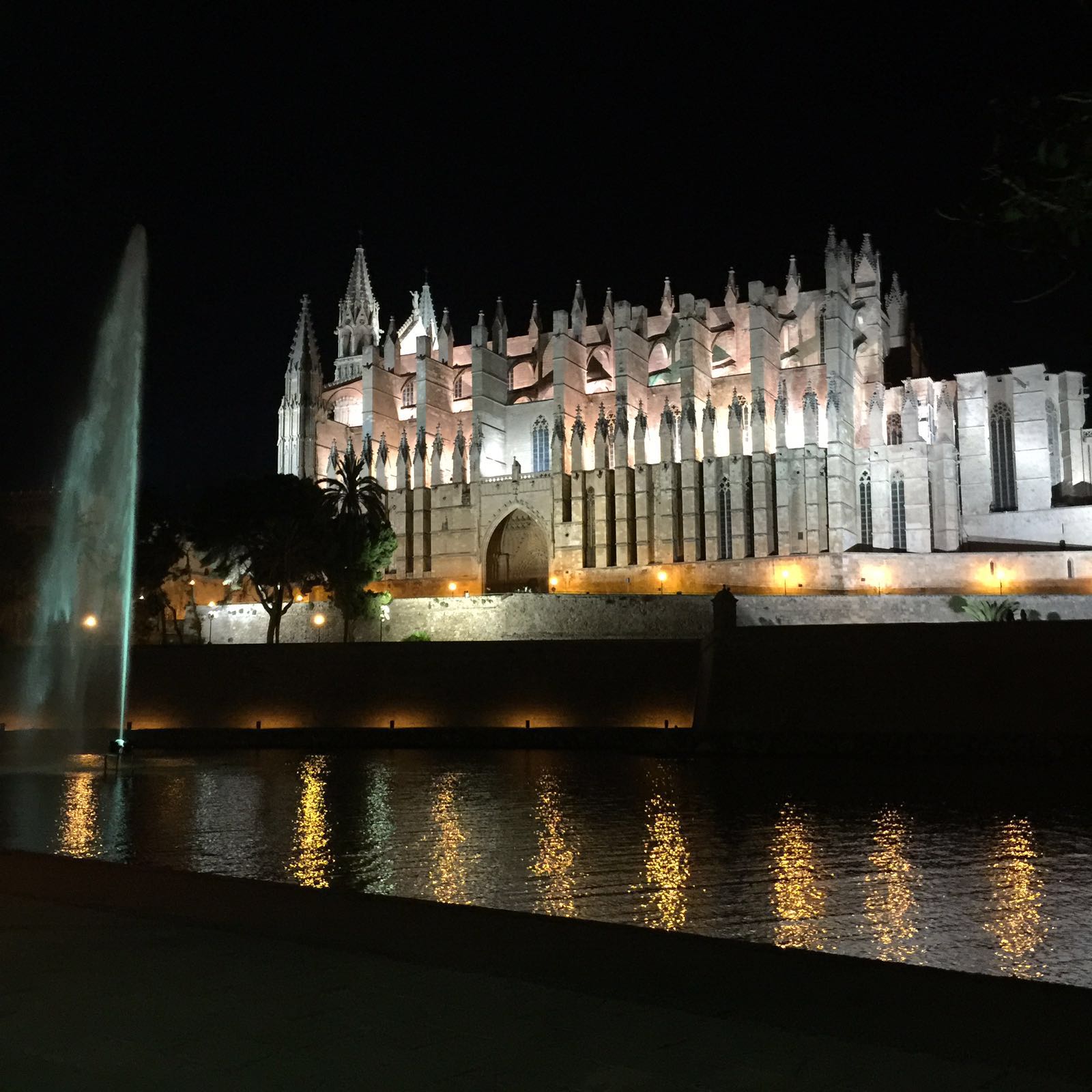 Kathedrale La Seu, gesendet von Vanessa F.