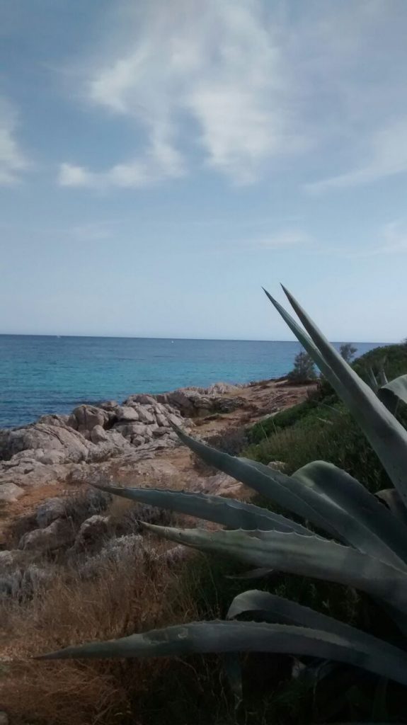 Son Moll, aufgenommen von Bianca