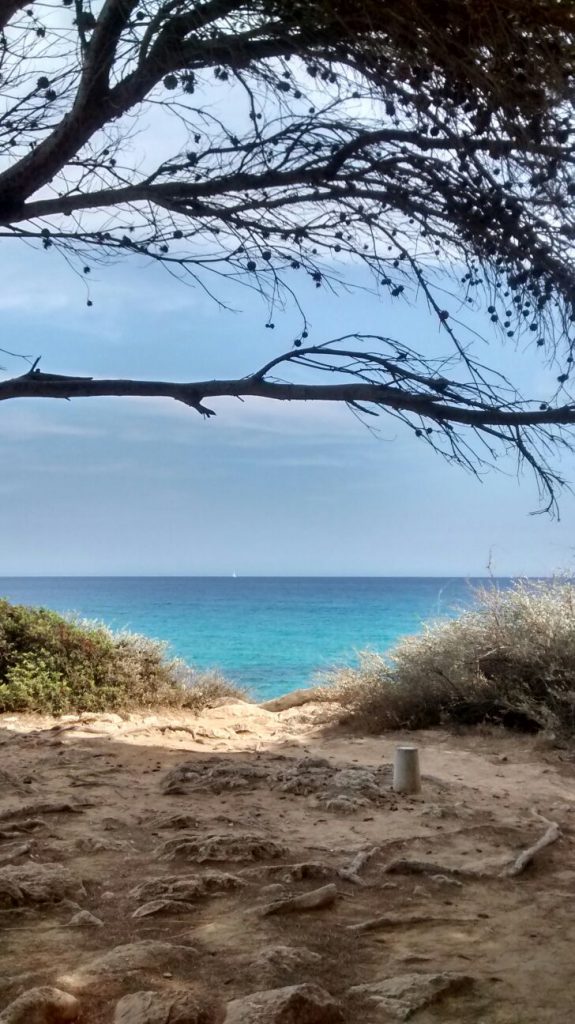 Son Moll, aufgenommen von Bianca