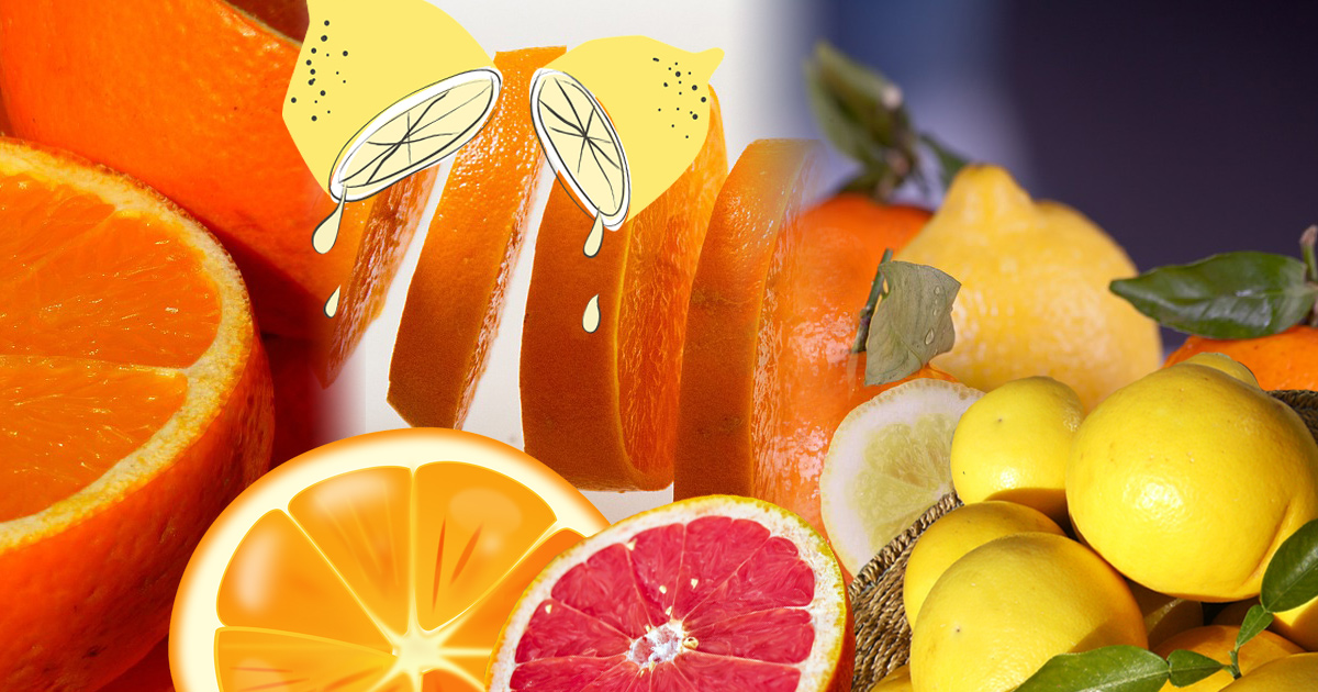 Naturbelassene, erntefrische Orangen und Zitronen aus Mallorca