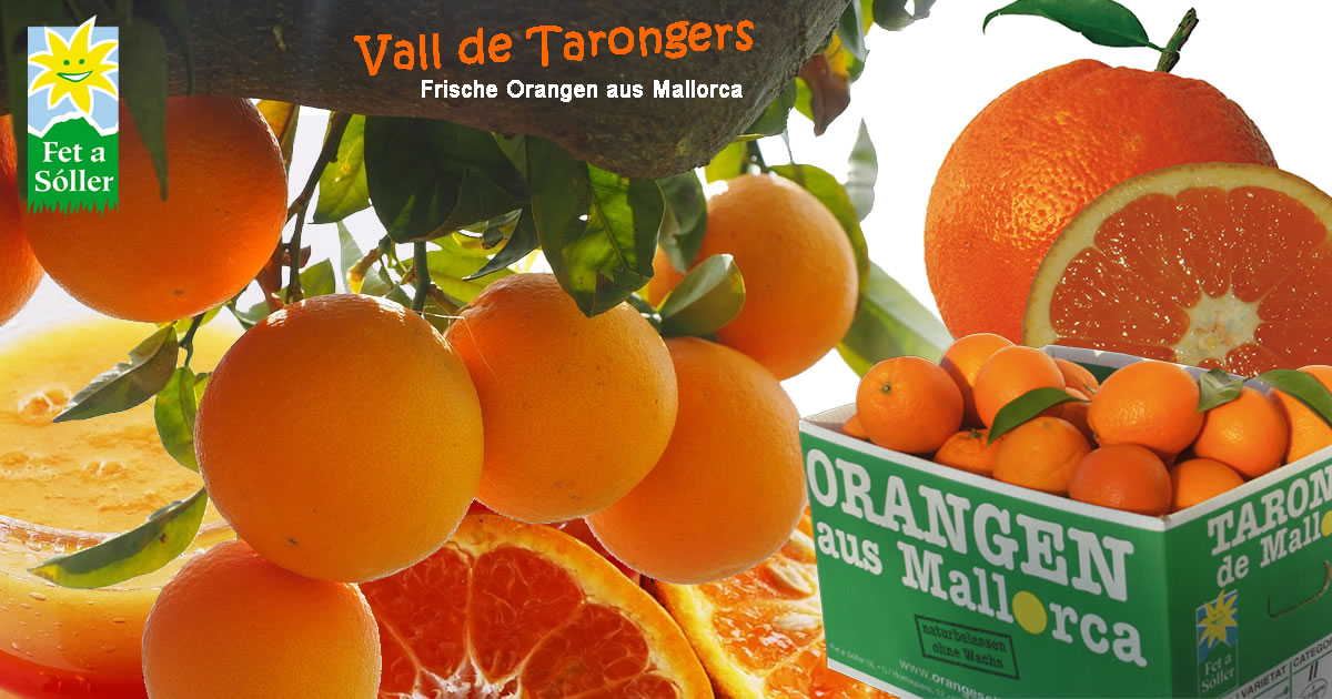 Frisch, saftig & gesund!