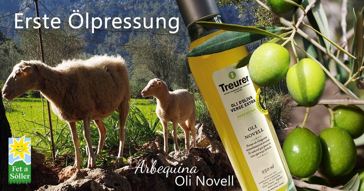 Olivenöl Oli Novell Arbequina Treurer 250ml