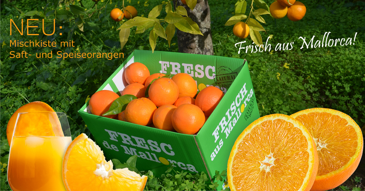 Mischkiste Navel late, Canoneta und Ortanique