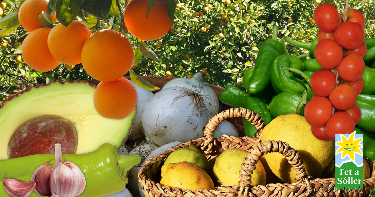 Die Zutaten Mallorcas...