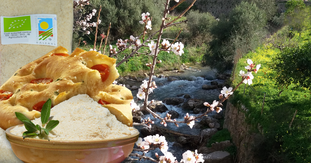 Deftiges Low Carb Brot mit Mandelmehl, Rosmarin und getrockneten Tomaten