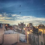 Alexander Becker / Kathedrale La Seu