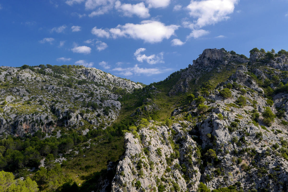 Tramuntana