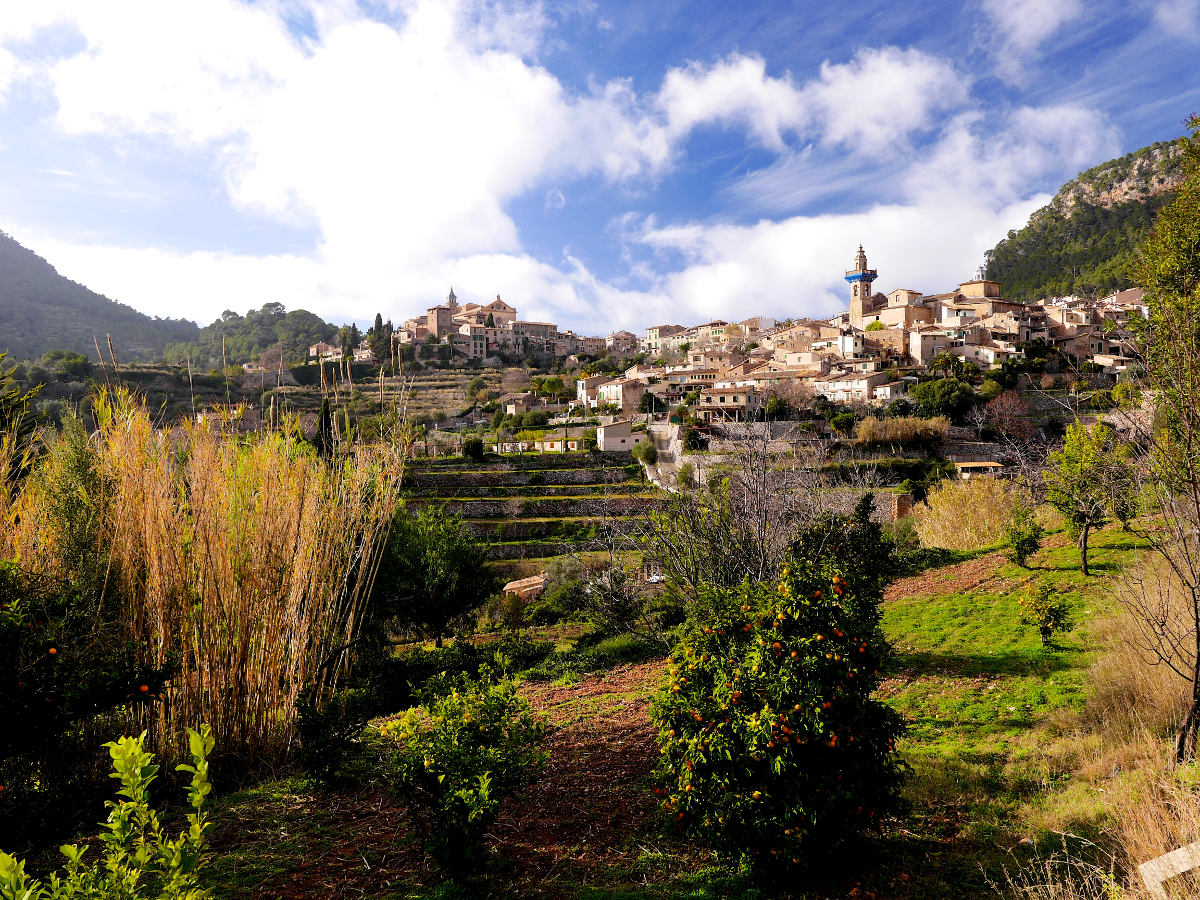 Valldemossa