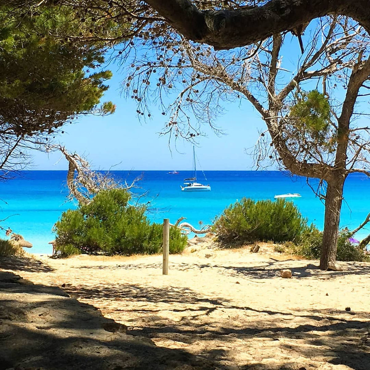 089/366 Cala Agulla MallorcaGURU