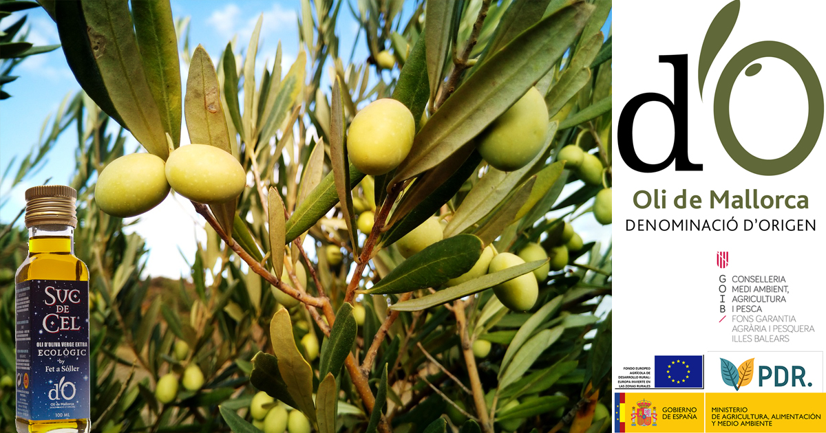Das Lebenselexier Mallorcas